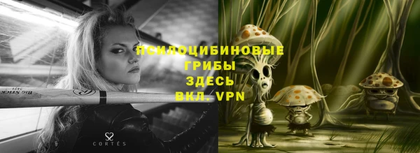 меф Гусь-Хрустальный