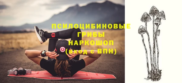 меф Гусь-Хрустальный