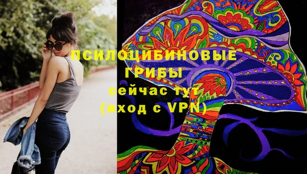MDMA Гусев