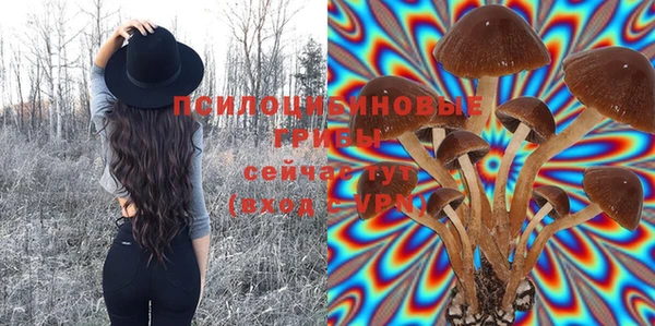 MDMA Гусев