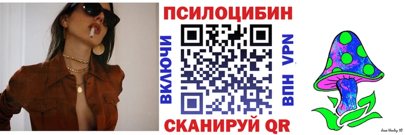 дарнет шоп  мега вход  Псилоцибиновые грибы GOLDEN TEACHER  Дигора 