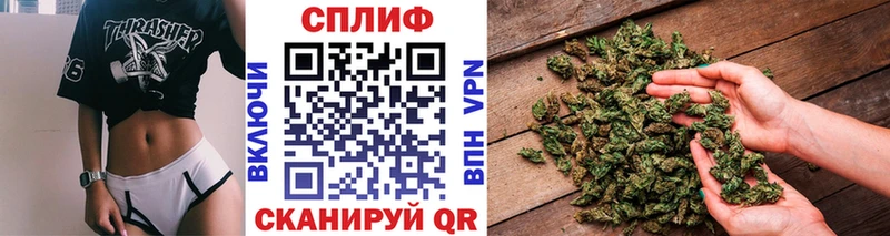купить закладку  mega ссылки  Марихуана ГИДРОПОН  Дигора 